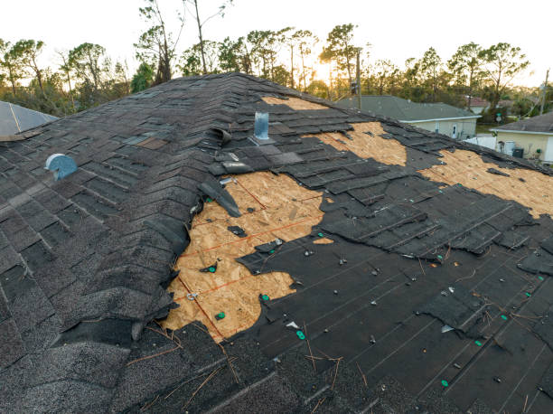 Best Asphalt Shingles Roofing  in USA